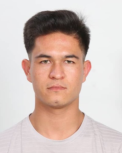 Ali Reza Rahemi